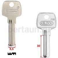 Заг.для ключ. KSL-1D KSLOCK верт. 2 паза (8.8x30мм) (сторона MULT3P)сторона AP-1D № 74 
