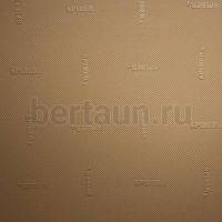 Лист профилактика № 27  SPIDER 960х600х1,8 мм бежевая