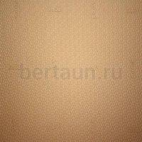 Пластина набоечная № 32  TOPY VERATOP 60*40*6 бежевый (СРЕДНИЙ) 1/2