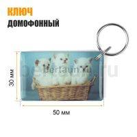 Домофонный ключ заготовка №35  T5577_КОТЯТА_