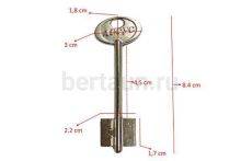 Заг.для ключ. АРГУС -1    DV2169    №550 