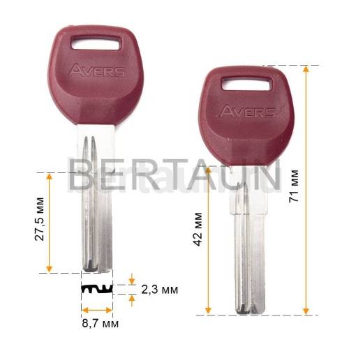 Заг.для ключ. АВЕРС 2P вертик (SC-A03) №725