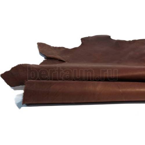 Вороток коричневый