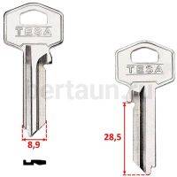 Заг.для ключ. TE 8D _TS7R_TE2R_TSA22L_Tesa англ. №194