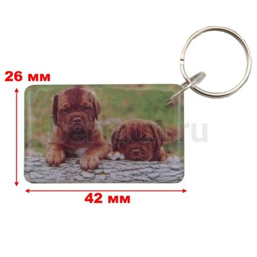 Домофонный ключ заготовка №31  T5577_ЩЕНКИ_