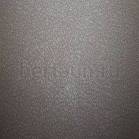 Лист профилактика №TOPY  BUFFALO  960x600x1.5 мм карамель
