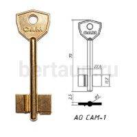 Заг.для ключ. АО САМ - 1 DV0572   № 25 