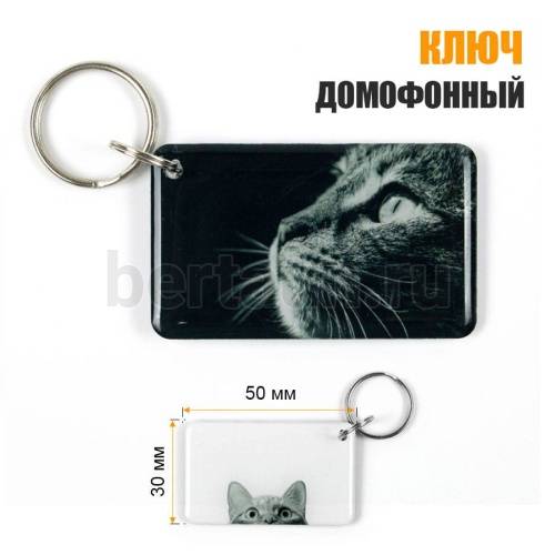 Домофонный ключ заготовка №47  RFID  T5577 (125Khz) КОШЕЧКА  (015)